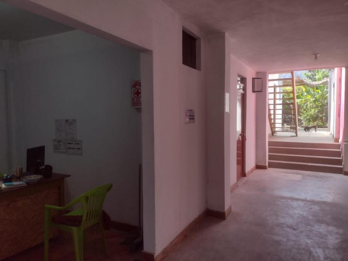 Flying Monkey Hostel 나스카 외부 사진
