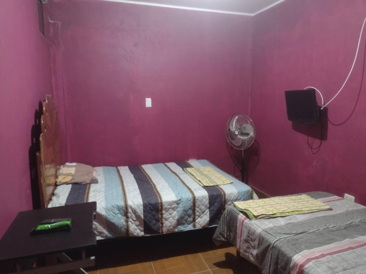 Flying Monkey Hostel 나스카 외부 사진