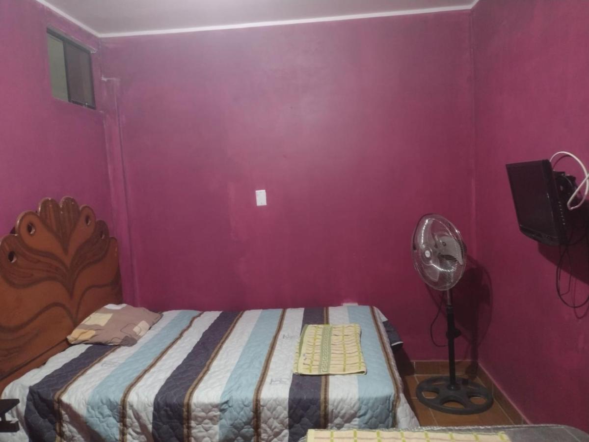 Flying Monkey Hostel 나스카 외부 사진
